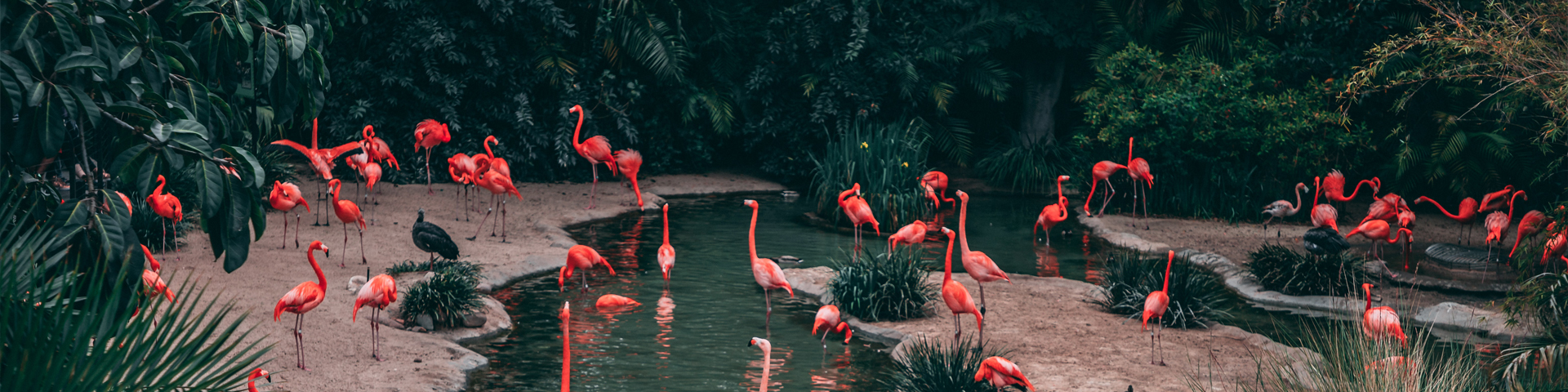 广西南邦国际旅行社有限公司驻马店营业网点